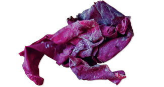 Purple Dulse Seaweed SuperFood Ingredient
