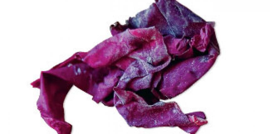 Purple Dulse